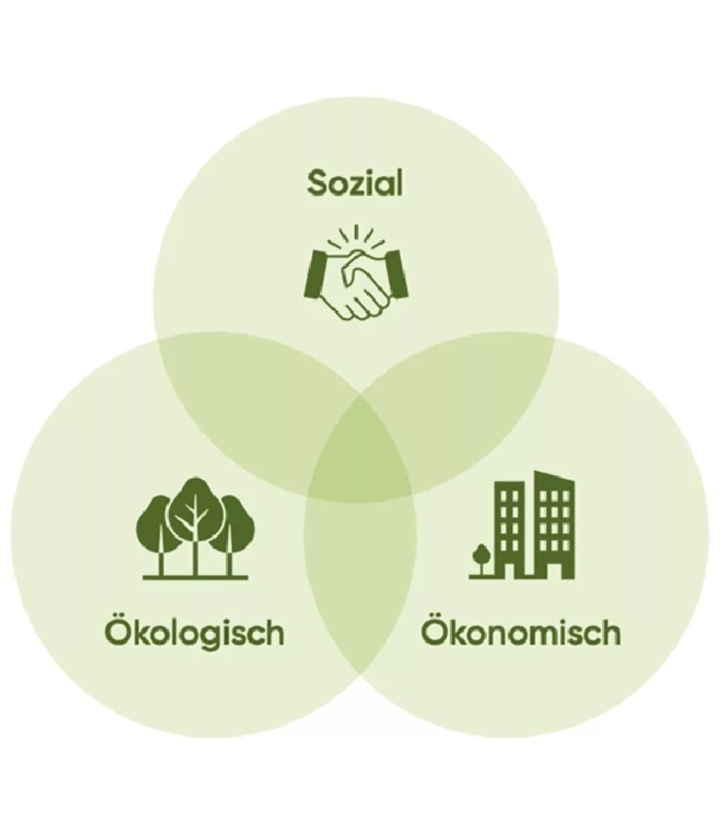 Darstellung der drei Dimensionen: sozial, ökologisch und ökonomisch.